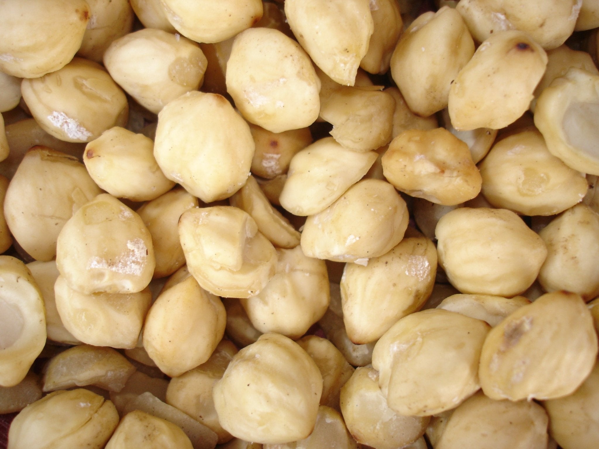 Candlenut: The Invisible Ingredient – Nyonyalite